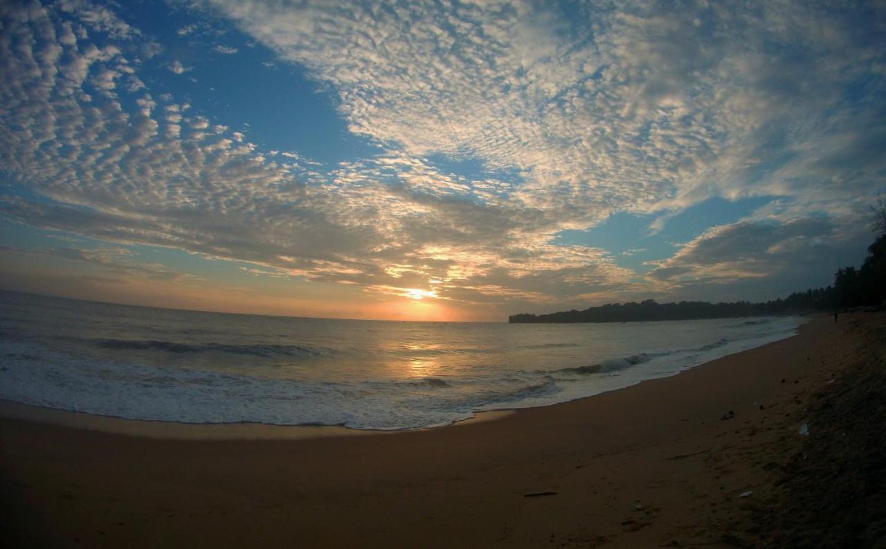 Feel The Waves Hotel อารูกัมเบย์ ภายนอก รูปภาพ